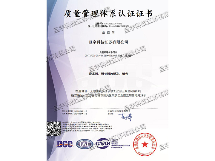 質(zhì)量管理體系中文